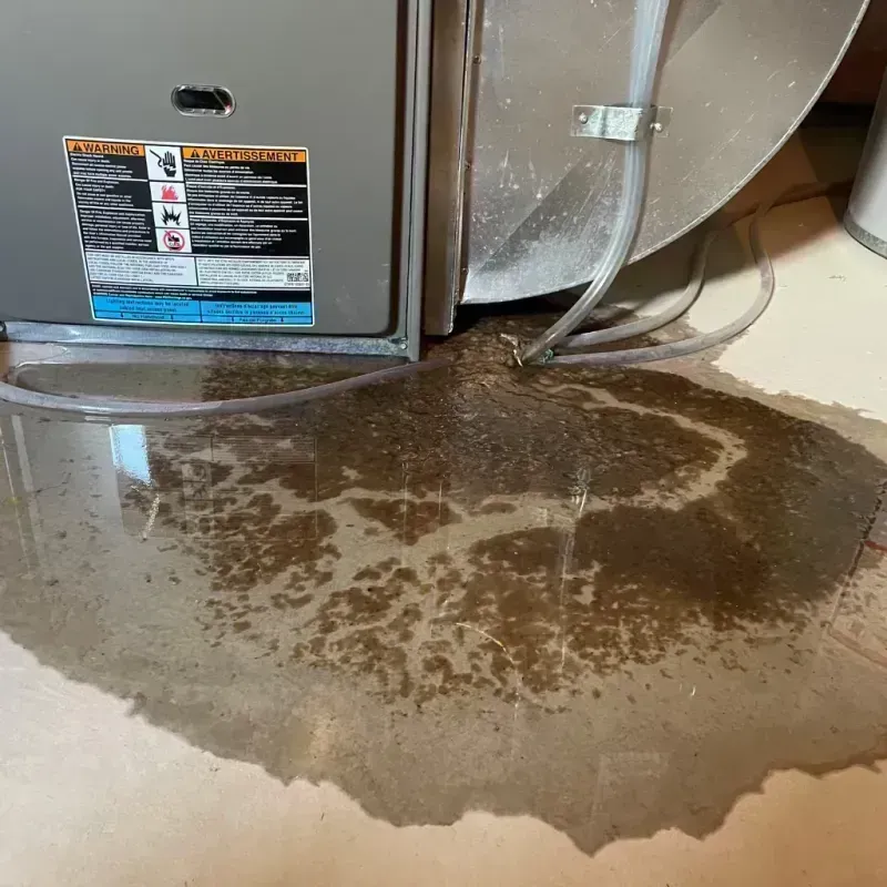 Appliance Leak Cleanup in Appleton City, MO